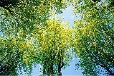 《GT赛车7》下周发布1.34版更新 再添三款新车型